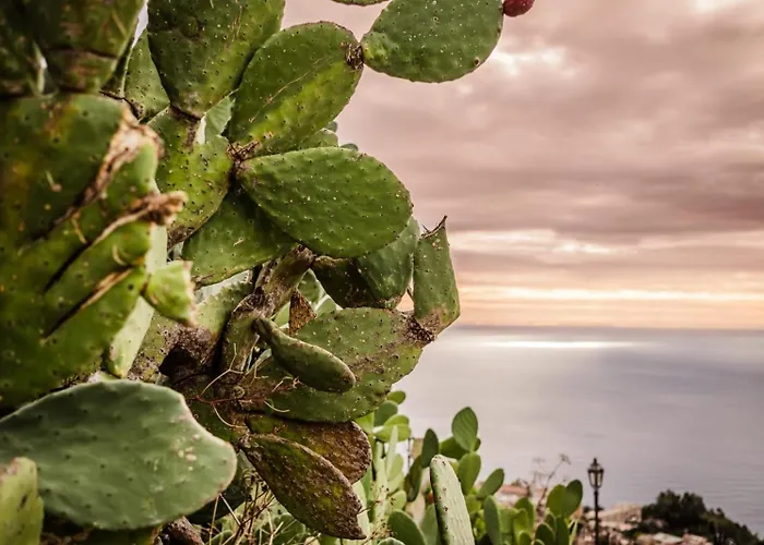 Suitelina Giardini Naxos